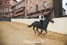 Palio Straordinario: la fotogallery delle Prove di Addestramento Mattutine